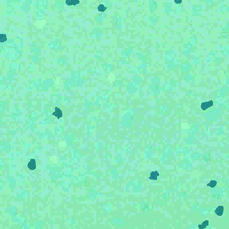 긁힘 방지 및 고탄성 고무 바닥재