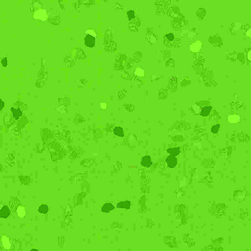 긁힘 방지 및 고탄성 고무 바닥재