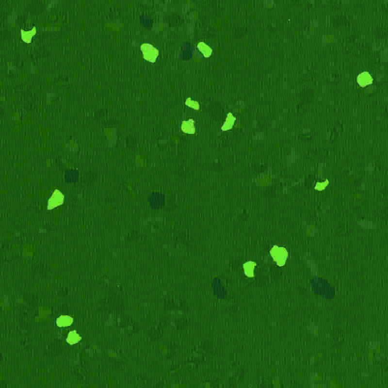 긁힘 방지 및 고탄성 고무 바닥재