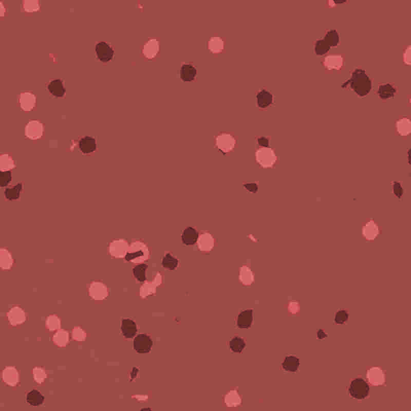 난연 및 방수 고무 및 플라스틱 바닥재